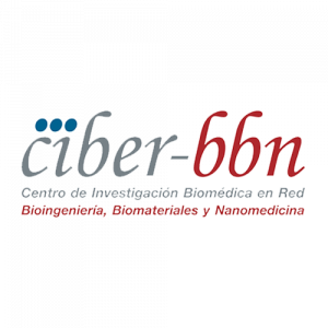 Ciber BBN logo